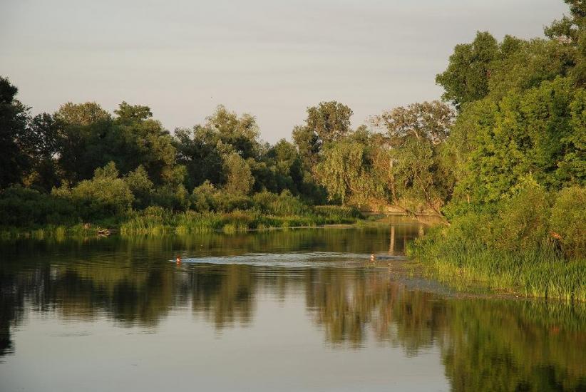 Сидорове з panoramio.com - Сидорове