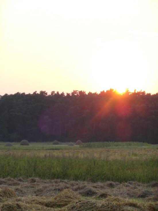 Бодячів з panoramio.com - Бодячев