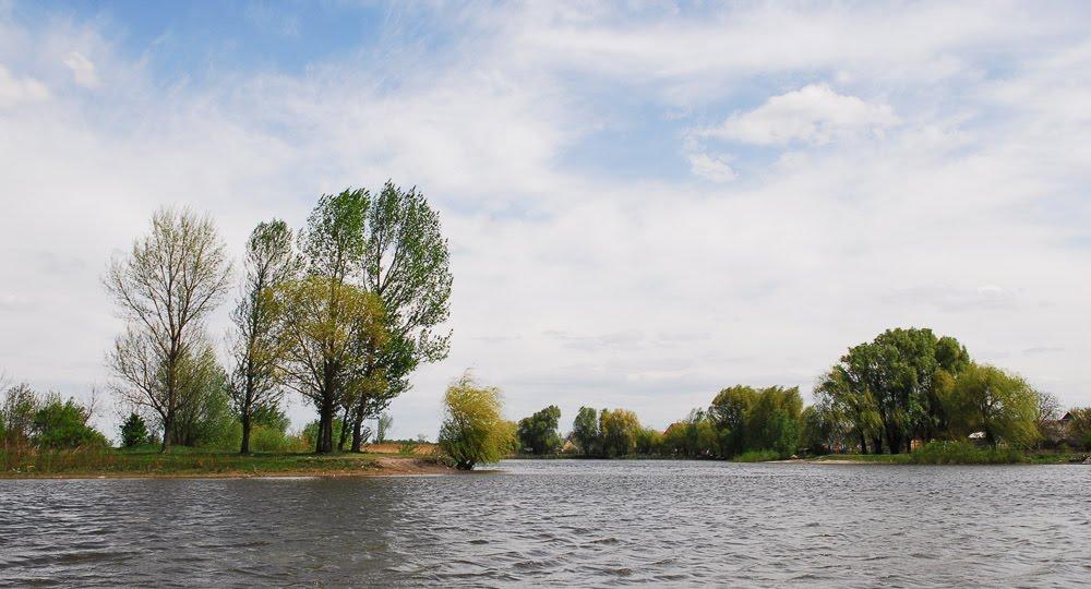 Узин з panoramio.com - Uzyn