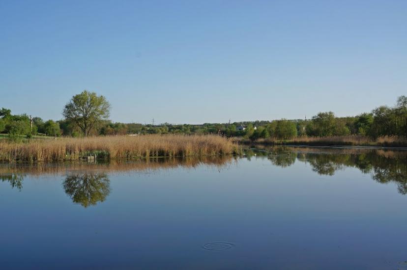 Сурсько-Клевцеве з panoramio.com - Сурско-Клевцово