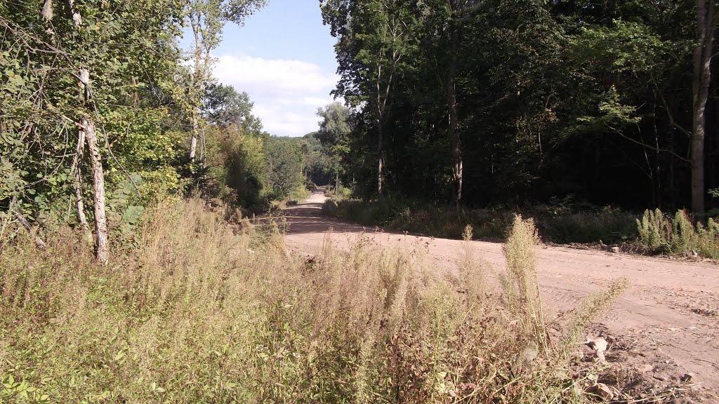 Микільське з panoramio.com - Никольское