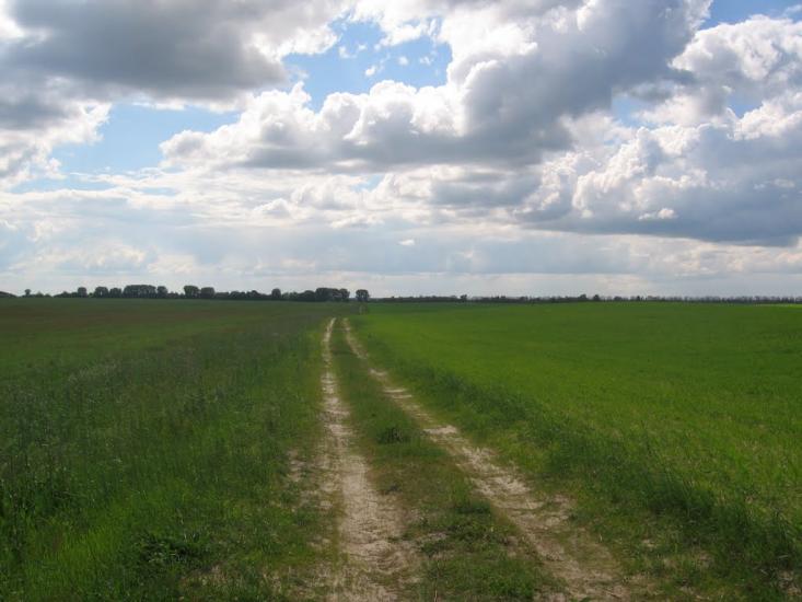 Товстоліс з panoramio.com - Толстолес