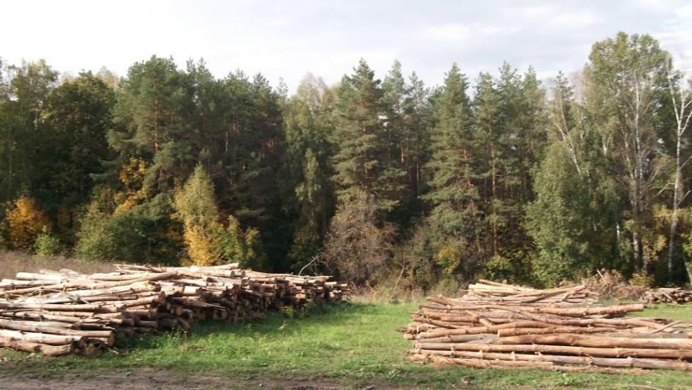 Битиця з panoramio.com - Битица