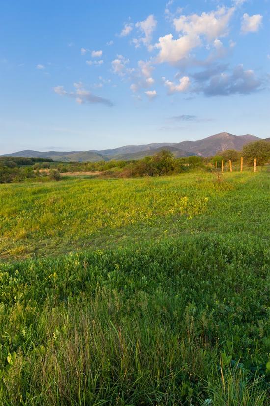 Родниківське з panoramio.com - Родниковское
