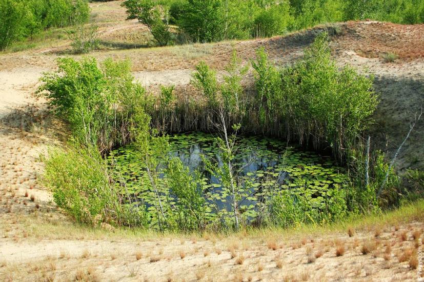 Подо-Калинівка з panoramio.com - Podo-Kalynivka