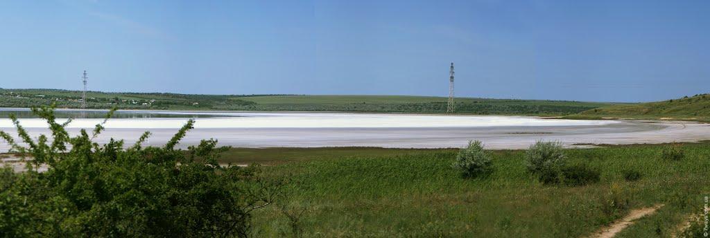 Нова Ковалівка з panoramio.com - Нова Ковалівка