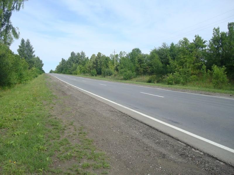 Ружичанка з panoramio.com - Ruzhychanka