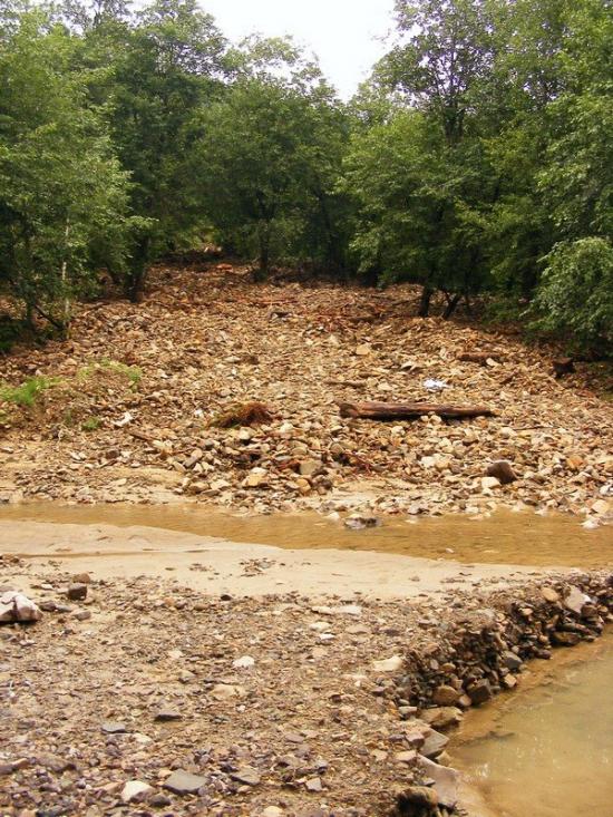 Пасічна з panoramio.com - Пасечная
