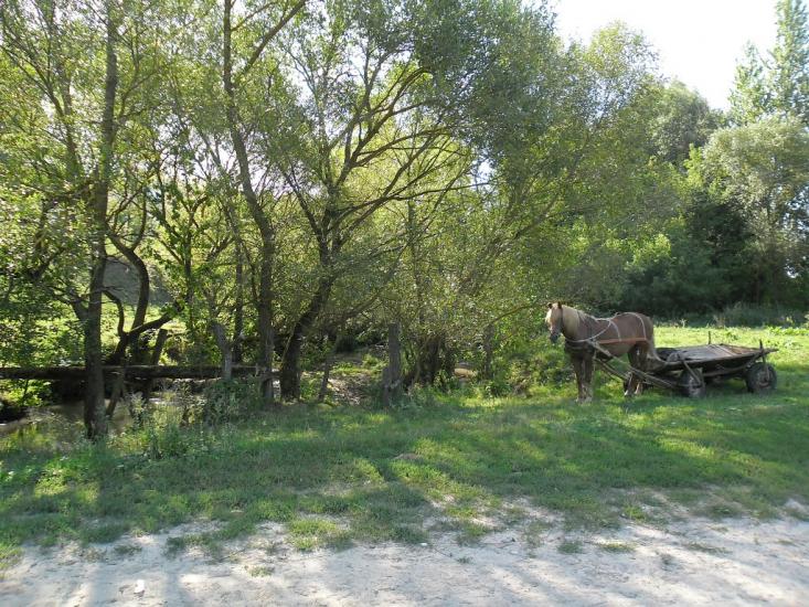Заміхів з panoramio.com - Заміхів