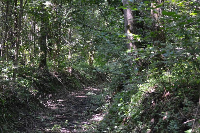 Грабовське з panoramio.com - Грабовское