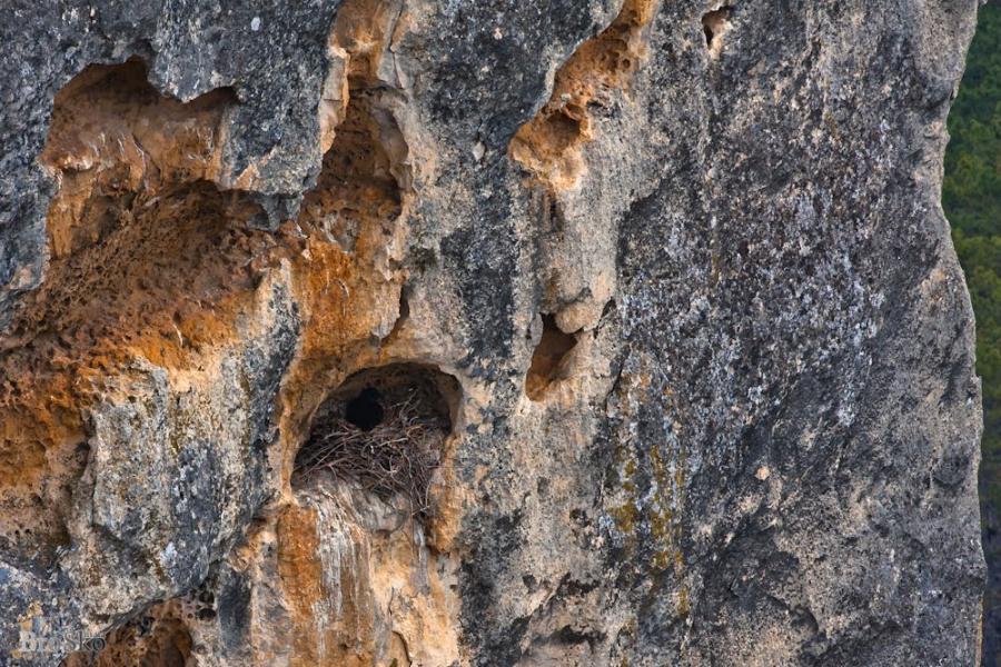 Тургенєвка з panoramio.com - Тургенєвка