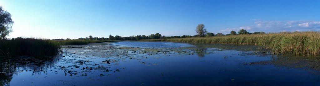 Новоселівка з panoramio.com - Novoselivka