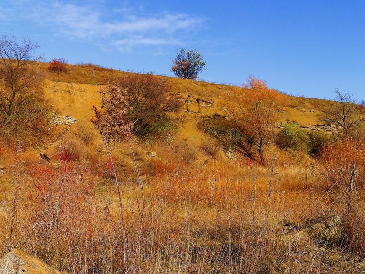 Нижня Кринка з panoramio.com - Нижня Кринка