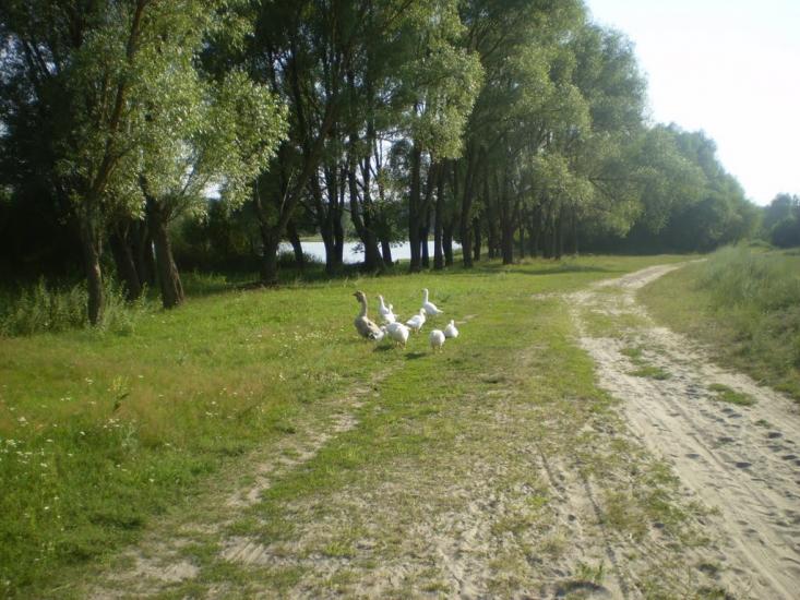 Слоут з panoramio.com - Слоут