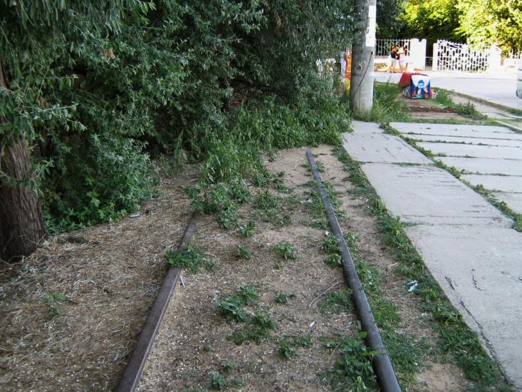 Молочне з panoramio.com - Молочне