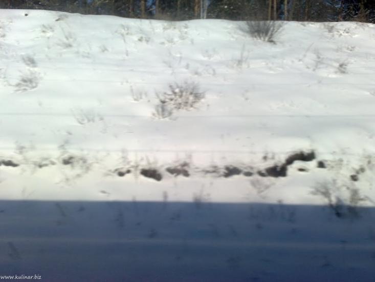 Таценки з panoramio.com - Таценки