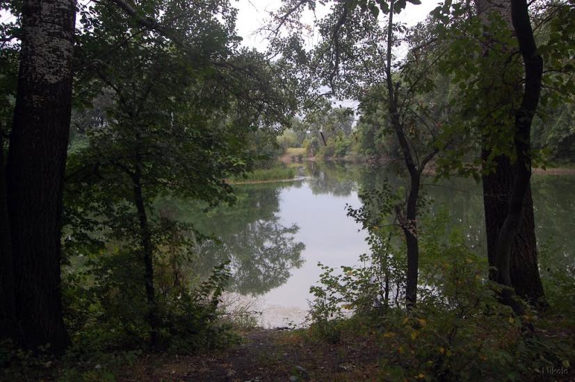 Нижнє з panoramio.com - Nyzhnye