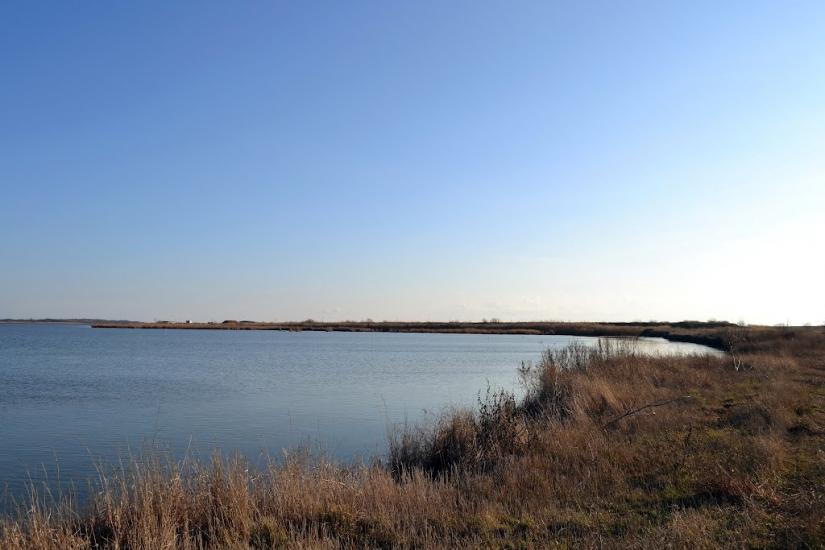 Дарівка з panoramio.com - Дарівка