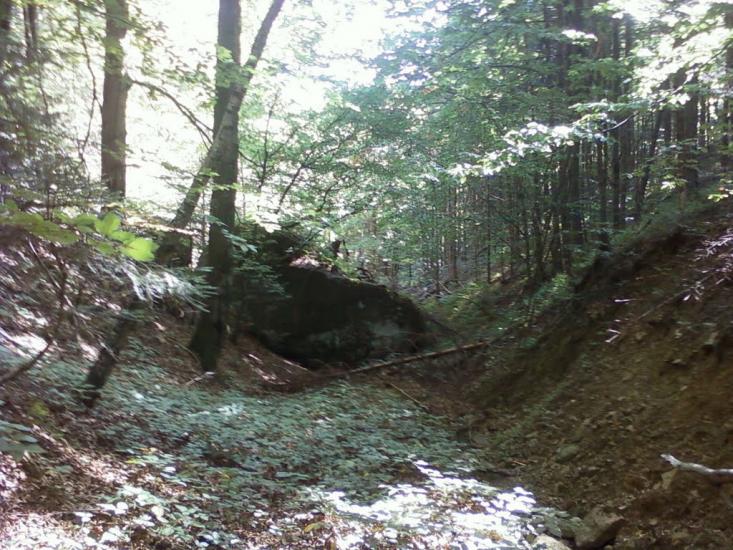 Труханів з panoramio.com - Trukhaniv