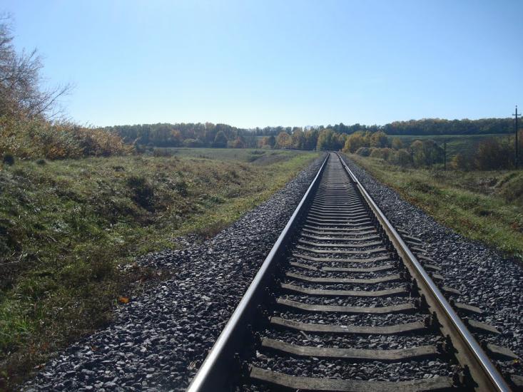 Радісне з panoramio.com - Радісне