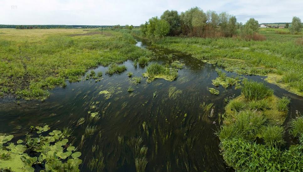 Черкаські Тишки з panoramio.com - Черкаські Тишки