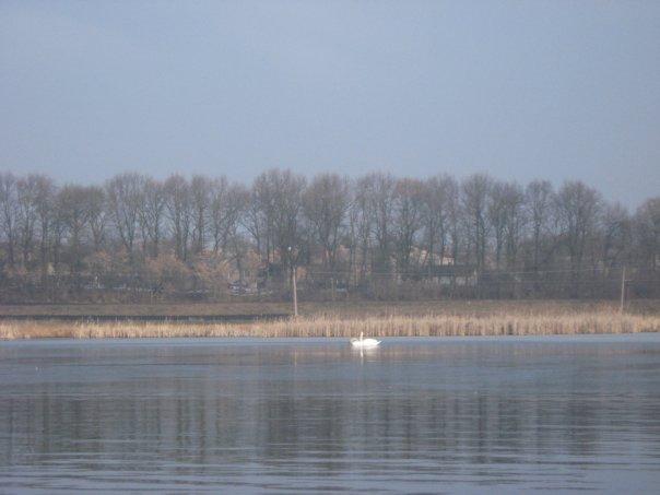 Мар'янівка з panoramio.com - Мар'янівка