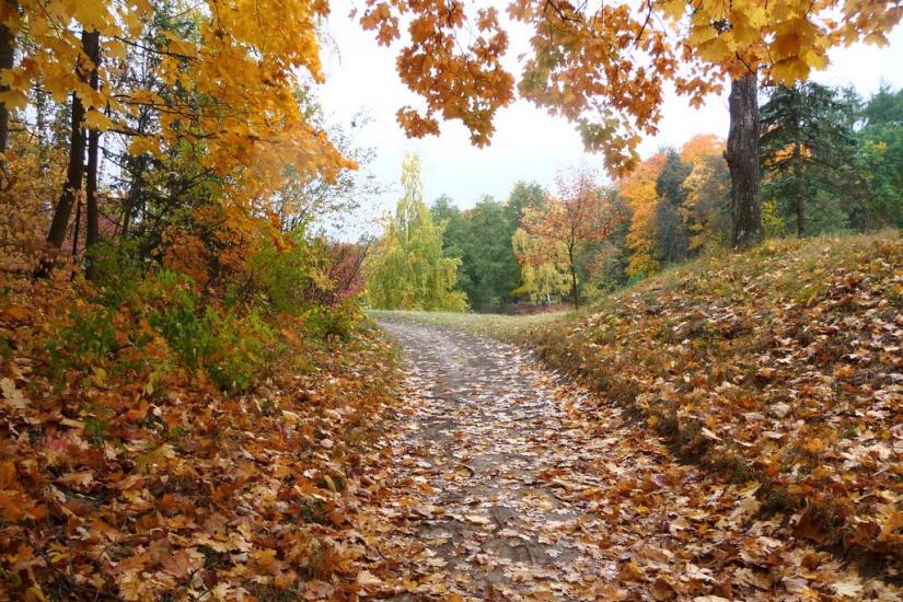 Васьківці з panoramio.com - Васьковцы