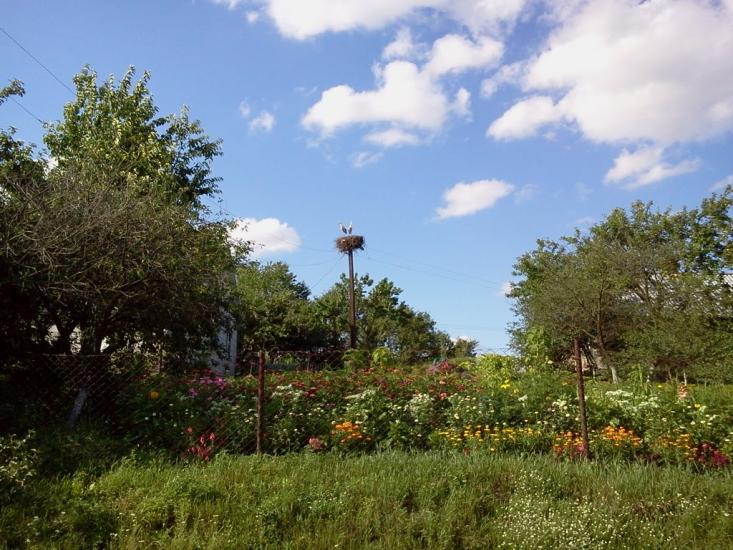 Всеволодівка з panoramio.com - Всеволодовка