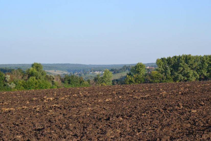 Грабовське з panoramio.com - Грабовское