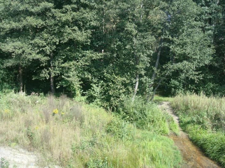 Рудня-Новенька з panoramio.com - Рудня-Новенька