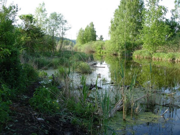Старосілля з panoramio.com - Староселье