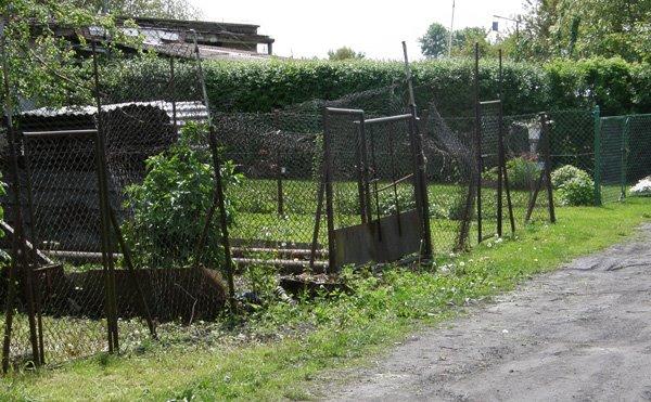 Угнів з panoramio.com - Ugniv