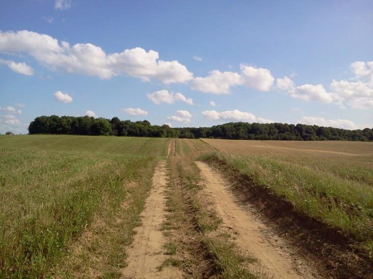 Баїв з panoramio.com - Баїв