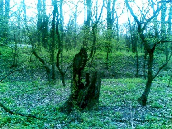 Алмазна з panoramio.com - Almazna
