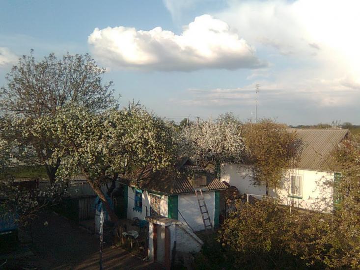 Росоховата з panoramio.com - Росоховата