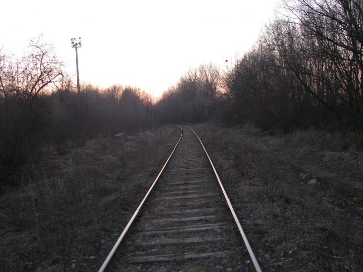 Підрясне з panoramio.com - Підрясне