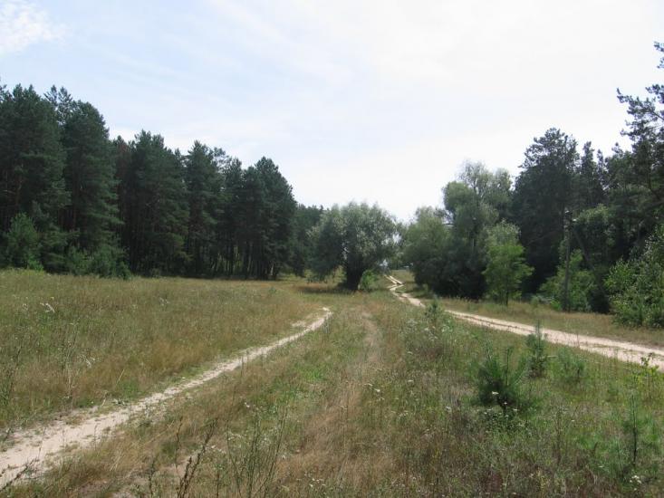 Халявин з panoramio.com - Халявин