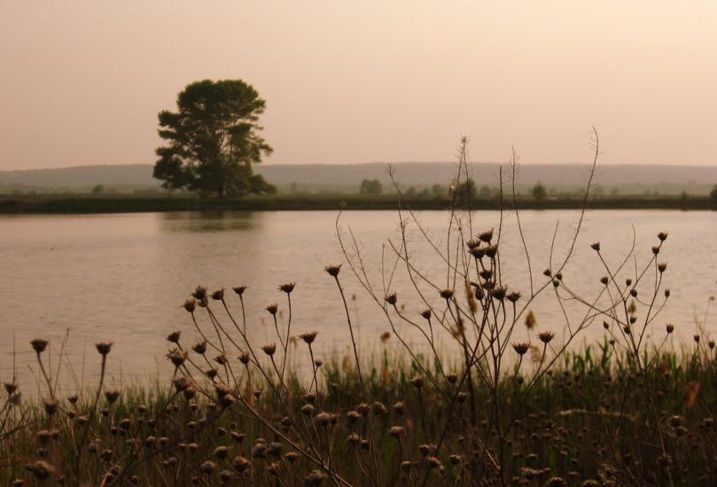 Вільхове з panoramio.com - Вільхове