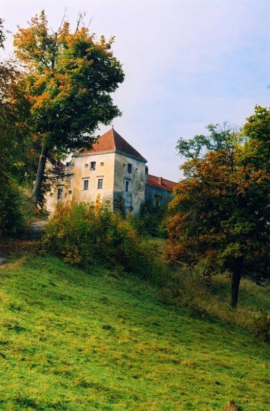 Свірж з panoramio.com - Свирж