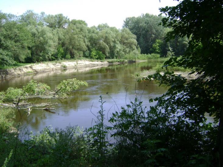 Юрки з panoramio.com - Юрки