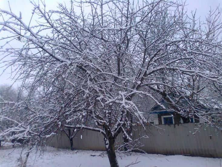 Новоганнівка з panoramio.com - Novogannivka