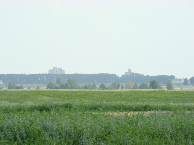 Товстоліс з panoramio.com - Толстолес