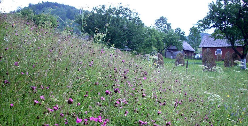 Труханів з panoramio.com - Труханов