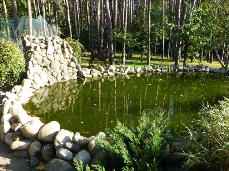Капітанівка з panoramio.com - Капитановка