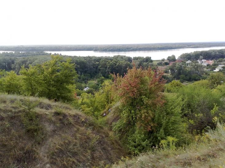 Карнаухівка з panoramio.com - Карнауховка