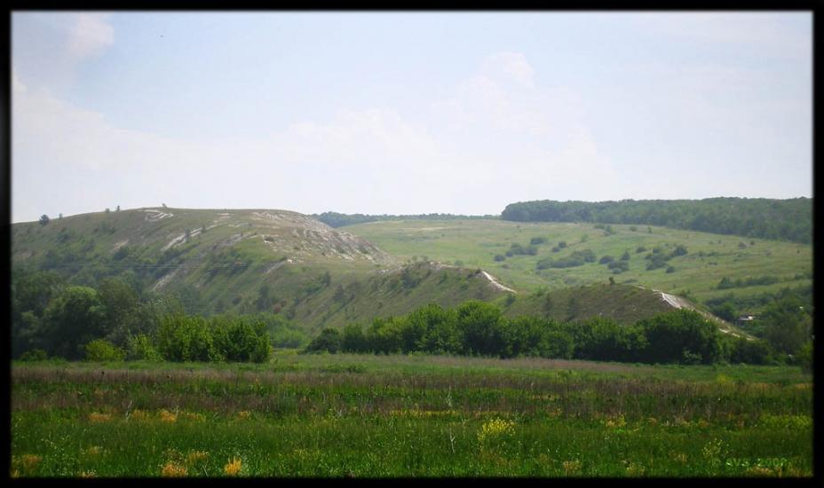 Крива Лука з panoramio.com - Крива Лука