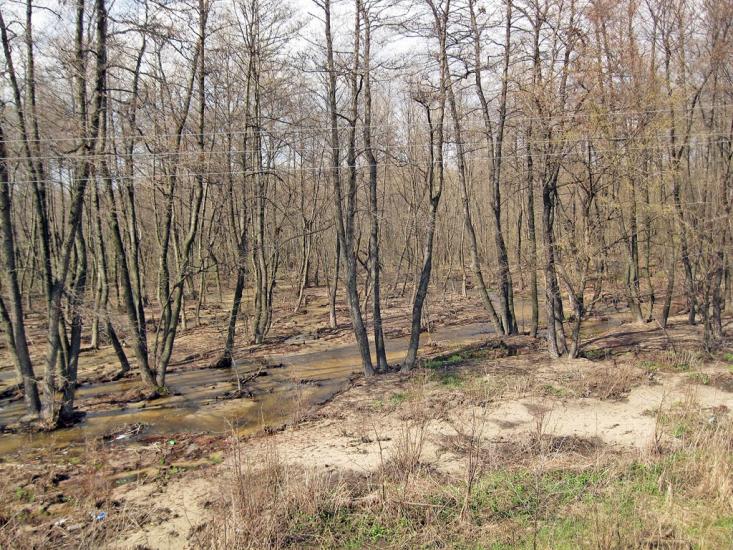 Валуйське з panoramio.com - Валуйское