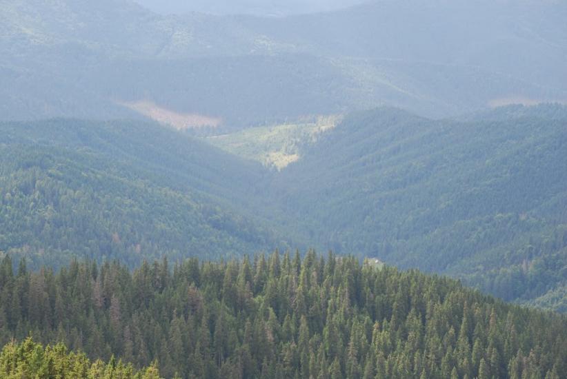 Черник з panoramio.com - Черник