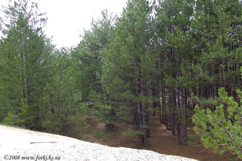 Великі Копані з panoramio.com - Великие Копани