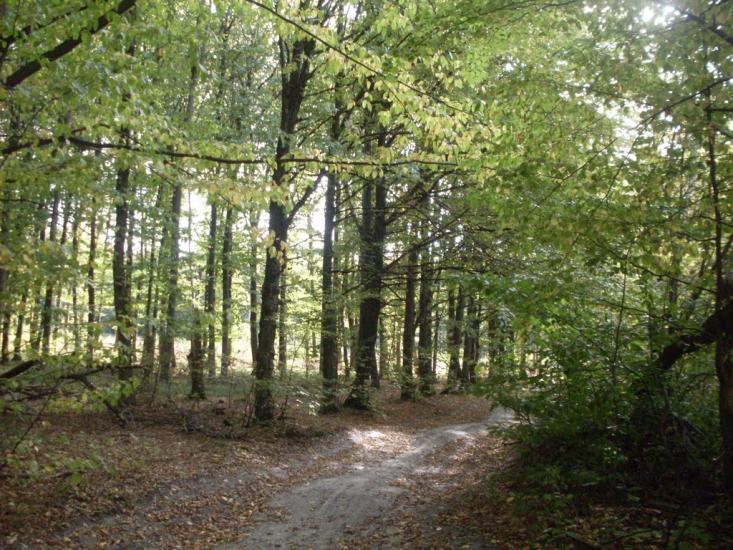 Городок з panoramio.com - Городок